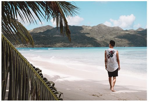 Cotenovoseg apresenta imagem de Playa brava em urugay por pexels-alex-azabache-3727267