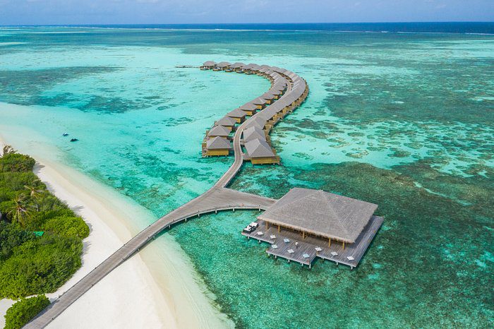 CoteNovoSeg apresenta roteiro Maldivas foto de cocoon-maldives